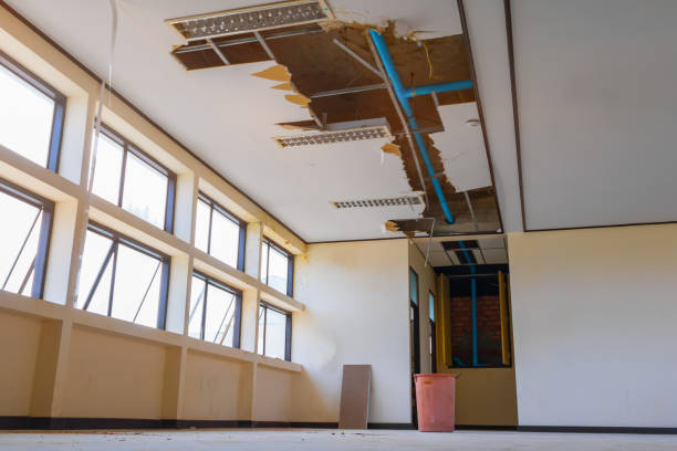 Best Emergency water damage restoration  in Mahomet, IL