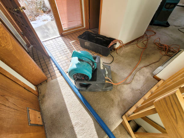 Best Flooded house restoration  in Mahomet, IL