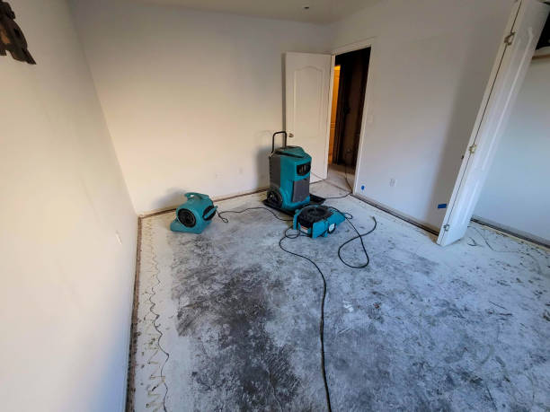 Best Carpet water damage restoration  in Mahomet, IL