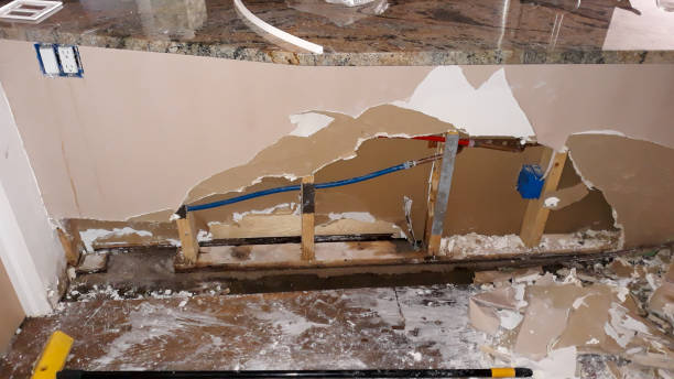 Best Water damage mitigation services  in Mahomet, IL