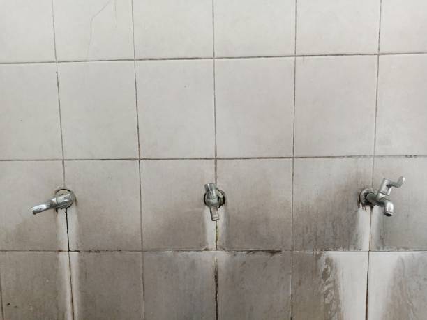 Best Flood damage cleanup  in Mahomet, IL