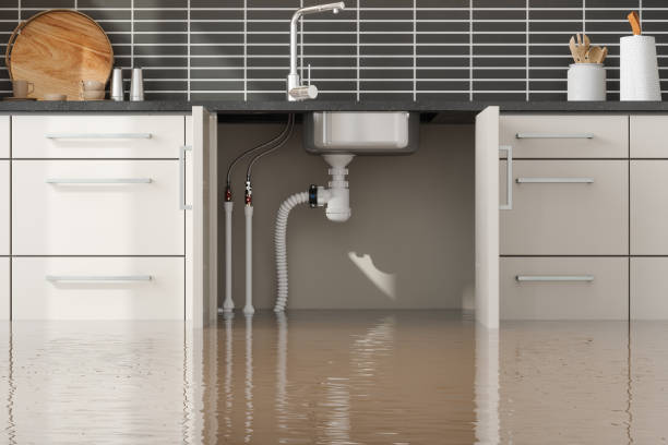 Trusted Mahomet, IL Water damage restoration Experts