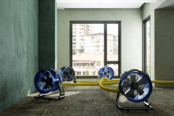 Best Water damage restoration near me  in Mahomet, IL
