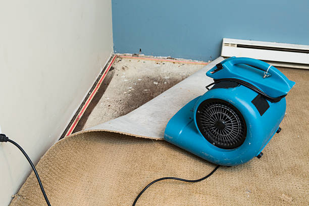 Best Water damage restoration services  in Mahomet, IL